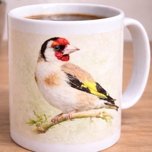Goldfinch Image Front lifestyle