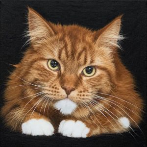 Square ginger cat slate coaster measuring 10 × 10cm, featuring a long-haired cat with white paws against a dark background.